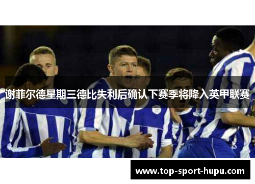 谢菲尔德星期三德比失利后确认下赛季将降入英甲联赛